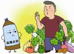 如何正確選擇適合的蔬菜？