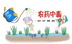 農(nóng)藥殘留速測(cè)儀助力“有機(jī)農(nóng)業(yè)”發(fā)展！