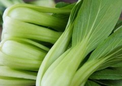 如何延長農(nóng)藥殘留速測儀的使用壽命？