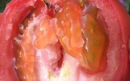 果蔬農(nóng)殘速測(cè)儀 果蔬農(nóng)殘速測(cè)儀